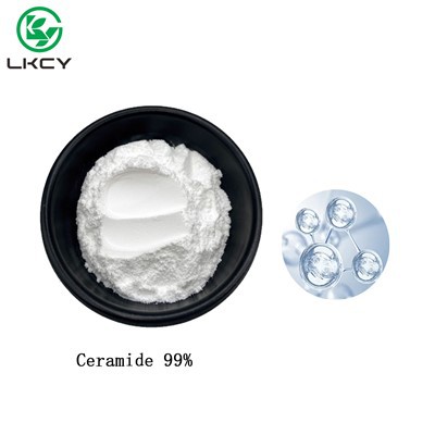 Ekstrakt rižinih mekinja